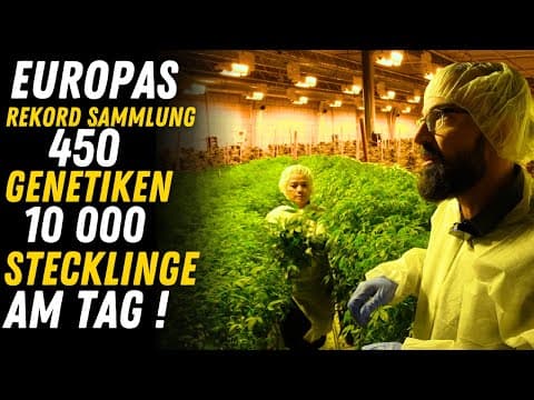 LeafConnect Produktionsanlagen