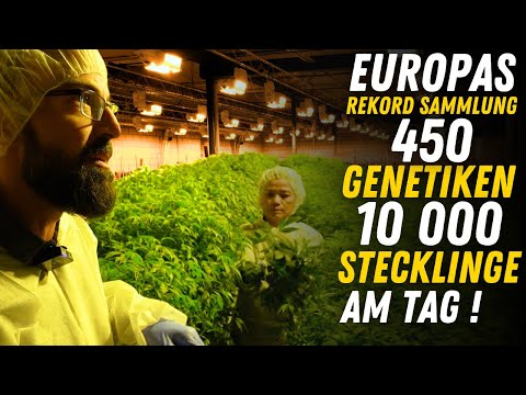 LeafConnect Produktionsanlagen