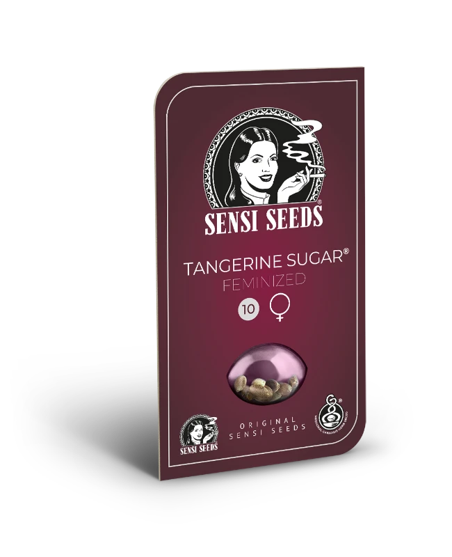 Tangerine Sugar ® -3- Fem
