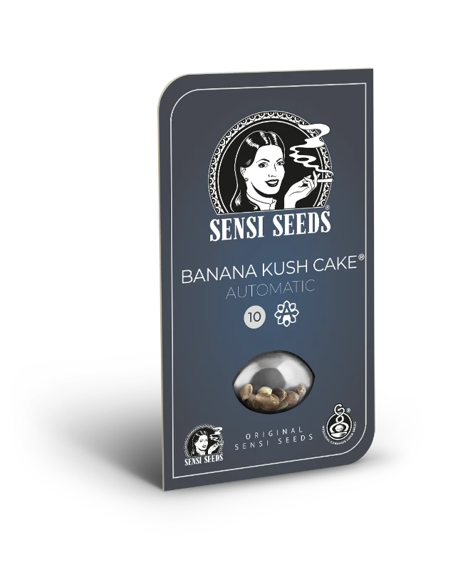 Banana Kush Cake auto -3 seed fem