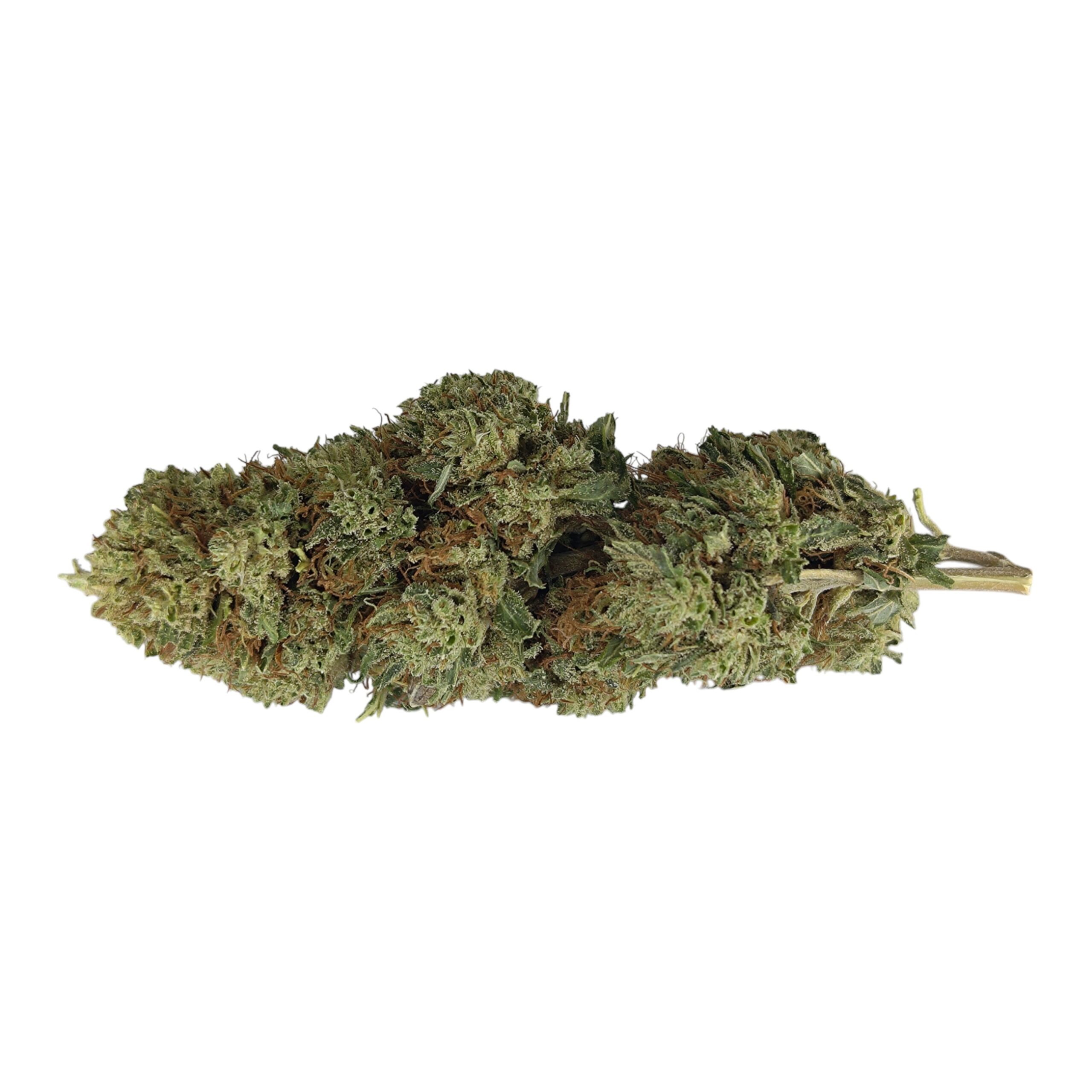 Limoncello Greenhouse <0,2