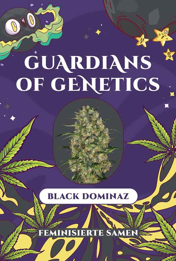 Verpackung von Black Dominaz