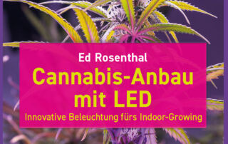 Cannabis-Anbau mit LED